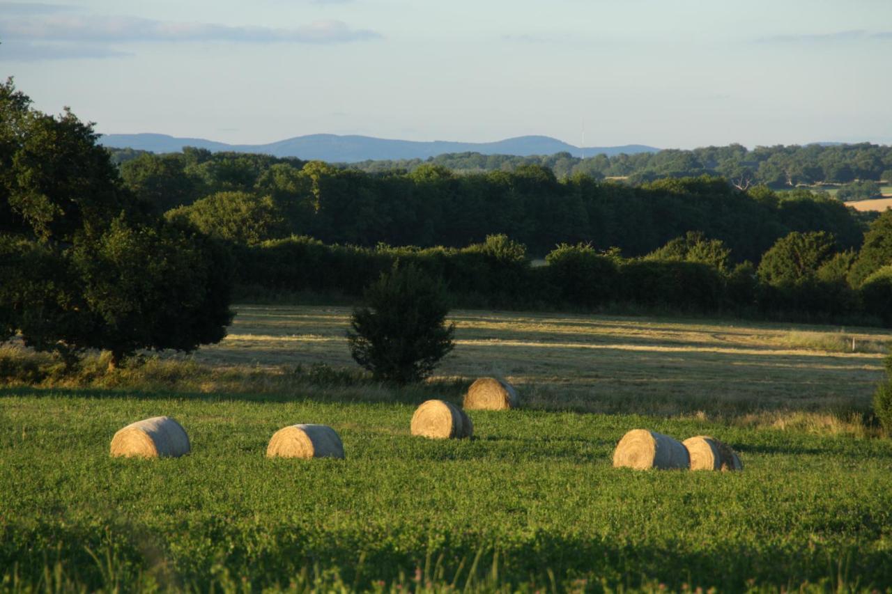 Domaine De Savigny Bed & Breakfast Saint-Saulge Exterior foto