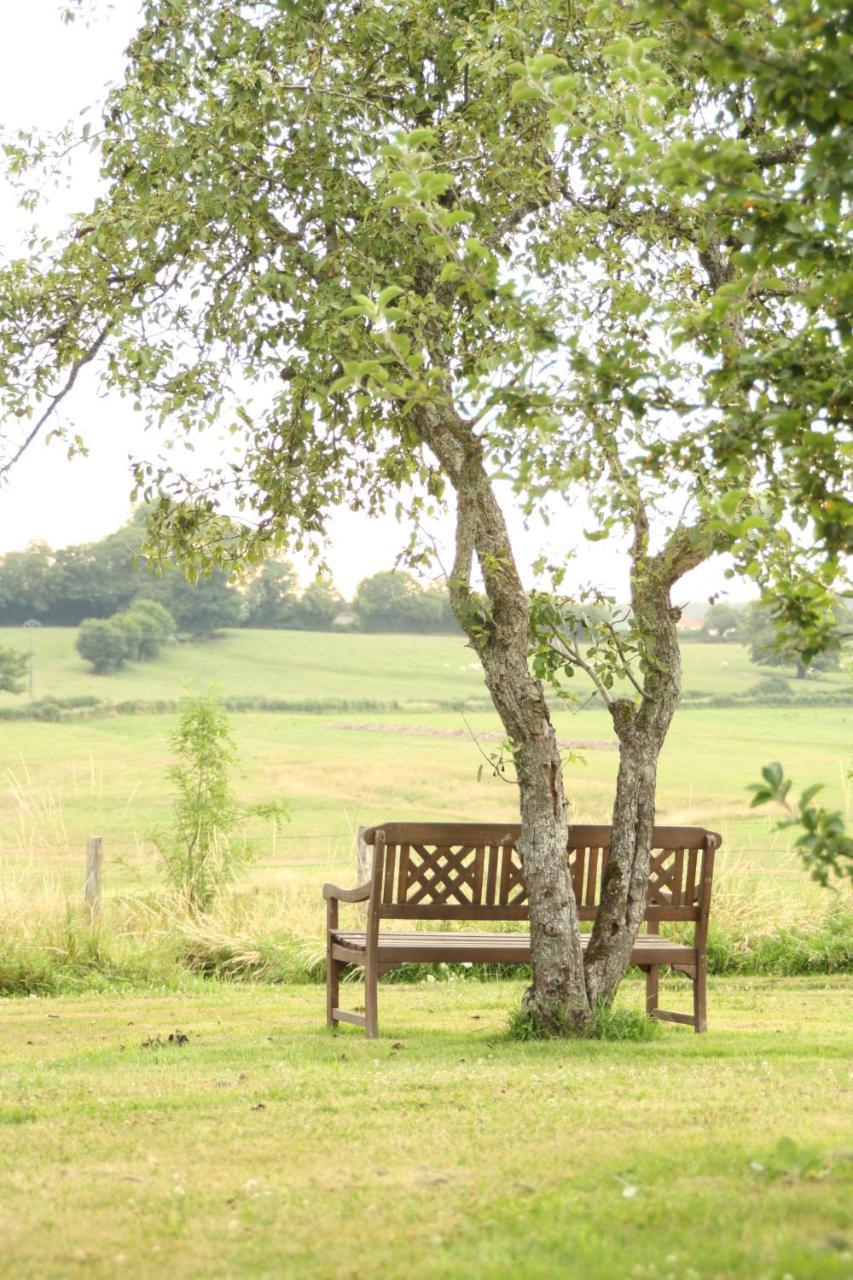 Domaine De Savigny Bed & Breakfast Saint-Saulge Exterior foto